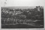 Le Chateau Et La Vue Générale - Montoire-sur-le-Loir