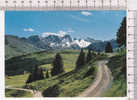 AROSA  -  Arlenwadstrasse  - N°  159 - Arosa