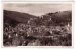 GERMANY - Blaubeuren Mit Blaufelsen, Top View, Feldpost, Year 1942 - Blaubeuren