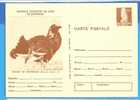ROMANIA Postal Stationery  Postcard 1977.Bird. Lyrurus Tetrix - Cuckoos & Turacos