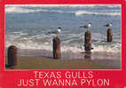 Texas Gulls Just Wanna Pylon - Other & Unclassified