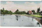 ROYAUME-UNI - BEDFORD - CPA - N°29800 - The Lake, Bedford Park - Bedford