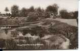 HIGH BEECH - ROYAL OAK POND RP 1912 - Other & Unclassified