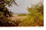 Sheringham From Beeston Hills - Other & Unclassified