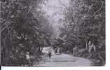 EPPING FOREST- FOREST ROAD - ANIMATED 1908 - Andere & Zonder Classificatie