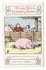 "COCHON , 1er PRIX DE CONCOURS AGRICOLE", Par BENJAMIN RABIER  ( Cpa Publicitaire "BISCUITS NANTAIS DUCASSE & GUIBAL" ) - Rabier, B.