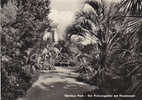 Wörlitzer Park - Der Palmengarten Mit Floratempel - Wittenberg