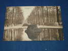 BRUXELLES  -  Le Parc   -  1908 - ( 2 Scans ) - Foreste, Parchi, Giardini