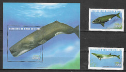 Chile 2002 MiNr. 2086 - 88 (Block 56) CITES, Marine Mammals, Whales 2v+1 MNH** 15,00 € - Baleines