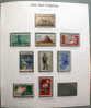 USA - INTERESTING LOT IN ALBUM SHEET WITH TRANSPARENT PLASTIC POCKETS - Colecciones & Lotes