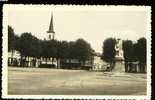 15618  -    Maaseik  Grand  Place  "  Carte  Photo " - Maaseik