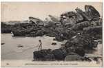 29 BRIGNOGAN - Greve Des Petits Crapauds - Brignogan-Plage