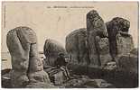 29 BRIGNOGAN - Le Sphinx De Kerlouan - Brignogan-Plage