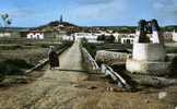 GHARDAIA.....ROUTE DU BORDJ....CPSM PETIT FORMAT  ANIMEE - Ghardaia