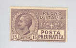 1921 Posta Pneumatica Regno Vittorio Emanuele III - C. 15 Viola NUOVO Con Minima Abrasione Sul Retro (rif.Max) - Correo Neumático