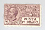 1925 Posta Pneumatica Regno Vittorio Emanuele III - C. 20 Viola NUOVO (rif.Max) - Pneumatic Mail