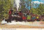 1880 Steam Train, Silver Dollar Citi, Missouri - Andere & Zonder Classificatie