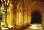 CPM De Cadouin   Le Cloître De L´Abbaye - Holy Places