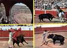 (560) Corrida - Taureaux - Bull Fighthing - Bull