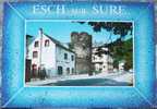 CP De ESCH-SUR-SURE " La Tour Ronde " . - Esch-sur-Sure