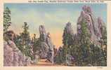 The Traffic Cop, Needles Highway, Custer State Park, Black Hills, South Dakota - Autres & Non Classés