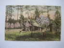 Hand Colored  A Spring Day Pinehurst Nc   1920 Cancel - Altri & Non Classificati