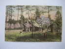 Hand Colored  A Spring Day Pinehurst Nc   1920 Cancel - Autres & Non Classés