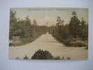 Hand Colored  A Entrance Drive To The Carolina  Pinehurst Nc   1920 Cancel - Altri & Non Classificati