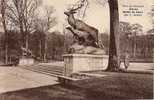 PARC DE SCEAUX  (Seine)  Motifs De Cerfs - Sceaux