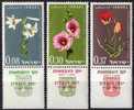 ISRAEL Poste 234 à 236 ** MNH + TAB Fleurs : Lys Guimauve Tulipe De Sharon Fleur Flower - Nuevos (con Tab)