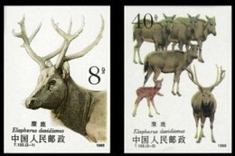 China 1988 T132a Wapiti Stamps (imperf)  Deer Animal Fauna Mammal - Neufs