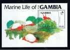 WAG Gambia 1984 Mi Bl. 12 - 548 Mnh Meerestiere - Gambie (1965-...)