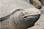 Stone Turtle ,   Postal Stationery -Articles Postaux -Postsache F (W13-02) - Schildpadden