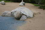 Stone Turtle ,   Postal Stationery -Articles Postaux -Postsache F (W13-07) - Tortugas