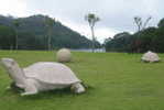 Stone Turtle ,   Postal Stationery -Articles Postaux -Postsache F (W13-32) - Schildpadden