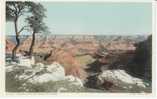 Grand Canyon From El Tovar, Fred Harvey Detroit Publishing C1910s Vintage Postcard - USA National Parks