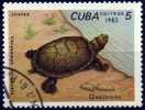 CUBA 2464 (o) TORTUE SCHILDKRÖTE TURTLE TORTOISE - Tortues