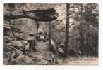 FRANCE - FORET De FONTAINEBLEAU, 1924. - Dolmen & Menhire