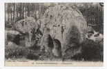 FRANCE - FORET De FONTAINEBLEAU, L Hippopotame, Old Postcard - Dolmen & Menhire