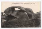 FRANCE - PLOUMANACH, Old Postcard - Dolmen & Menhire