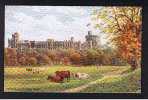 RB 571 - ARQ A.R. Quinton J. Salmon Postcard - Windsor Castle North Front - Berkshire - Windsor Castle