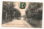 Hesdin (62) : Route De Fruges En Forêt En 1905 (animée). - Hesdin