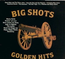 * LP *  BIG SHOTS-GOLDEN HITS - TREMELOES / SAM THE SHAM / BOX TOPS / AMERICAN BREED A.o. - Compilaties