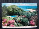 CPSM JAMAIQUE-Shaw Park Gardens-Ocho Rios - Jamaica