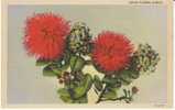 Lehua Flower Hawaii On 1930s Vintage Curteich Linen Postcard - Altri & Non Classificati