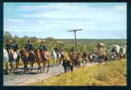 ALMONTE - ROMERIA DEL ROCIO - ASOCIACION ESPANOLA MAXIMOFILIA - Spain Espana Spanien Espagne  62138 - Huelva