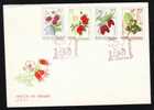 ROMANIA  1964 ,FDC, FRUITS ,embrosed Cover.B - FDC