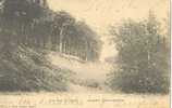 Genk - Les Bois à Genck - Campine Limbourgeoise - 1906 [2 Scans] - Genk