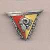 Insigne    SFCA  (BA Ris Orangis) - Luftwaffe