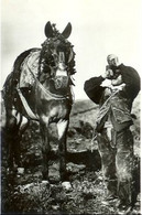 66-AMELIE LES BAINS -MULETIER BUVANT A LA BOURATGE - Ceret